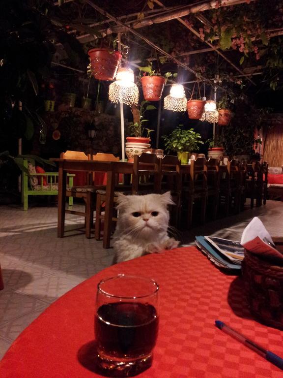 Ferah Hostel Monica'S Place Fethiye Exterior foto